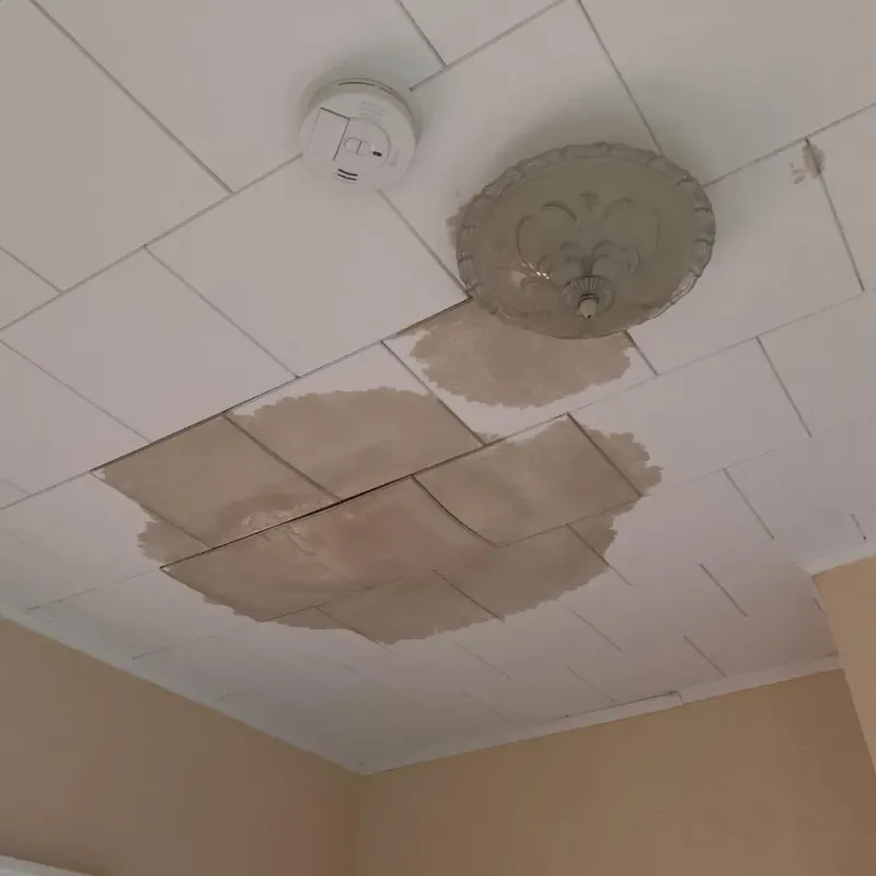 Ceiling Water Damage Repair in Johnsonville, TN