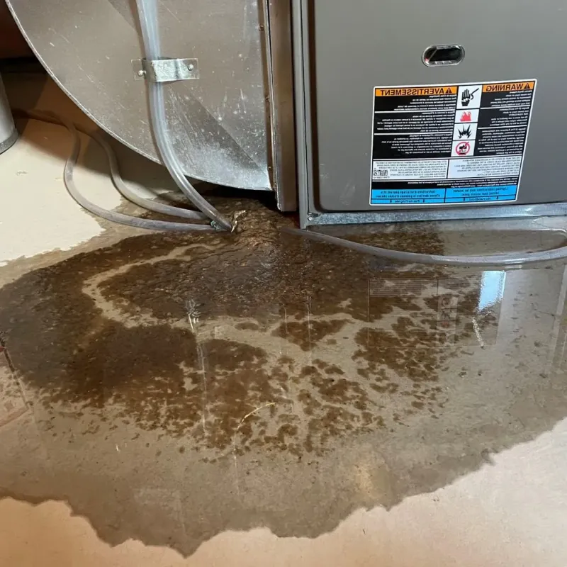 Pipe Burst and Leak Restoration in Johnsonville, TN