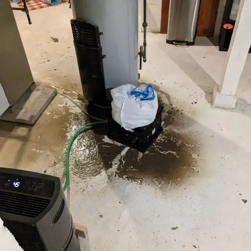 Sewage Backup Cleanup Service in Johnsonville, TN